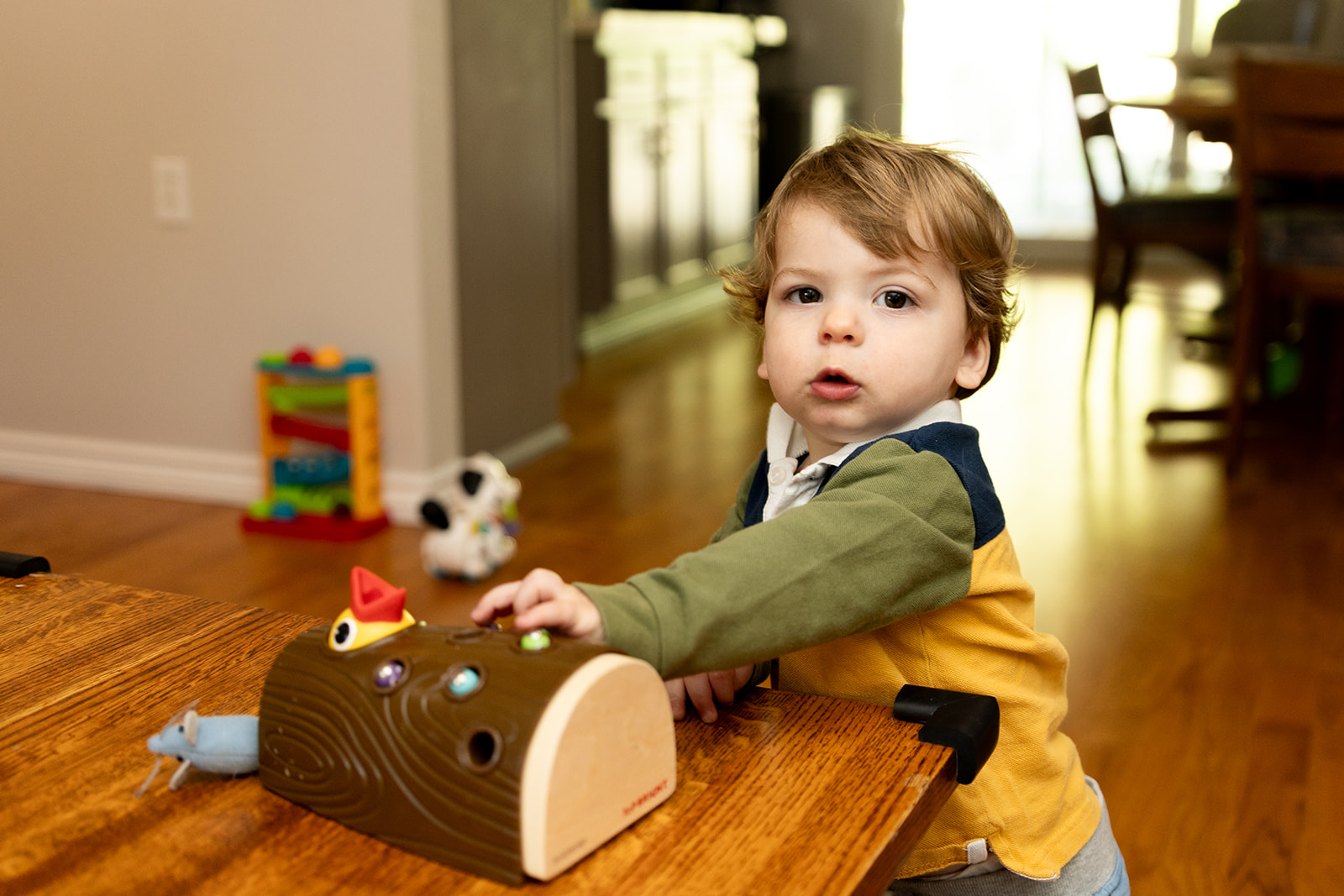 Day in the life family session in San Diego — Beth Blake Photography