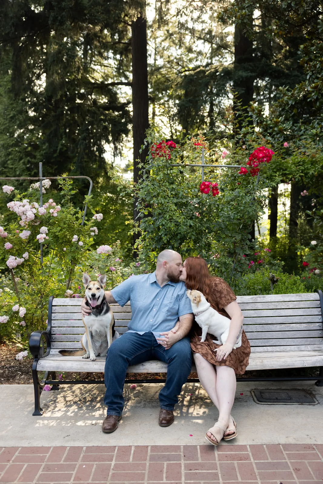 Couple on a garden bench with their dog among roses in Portland