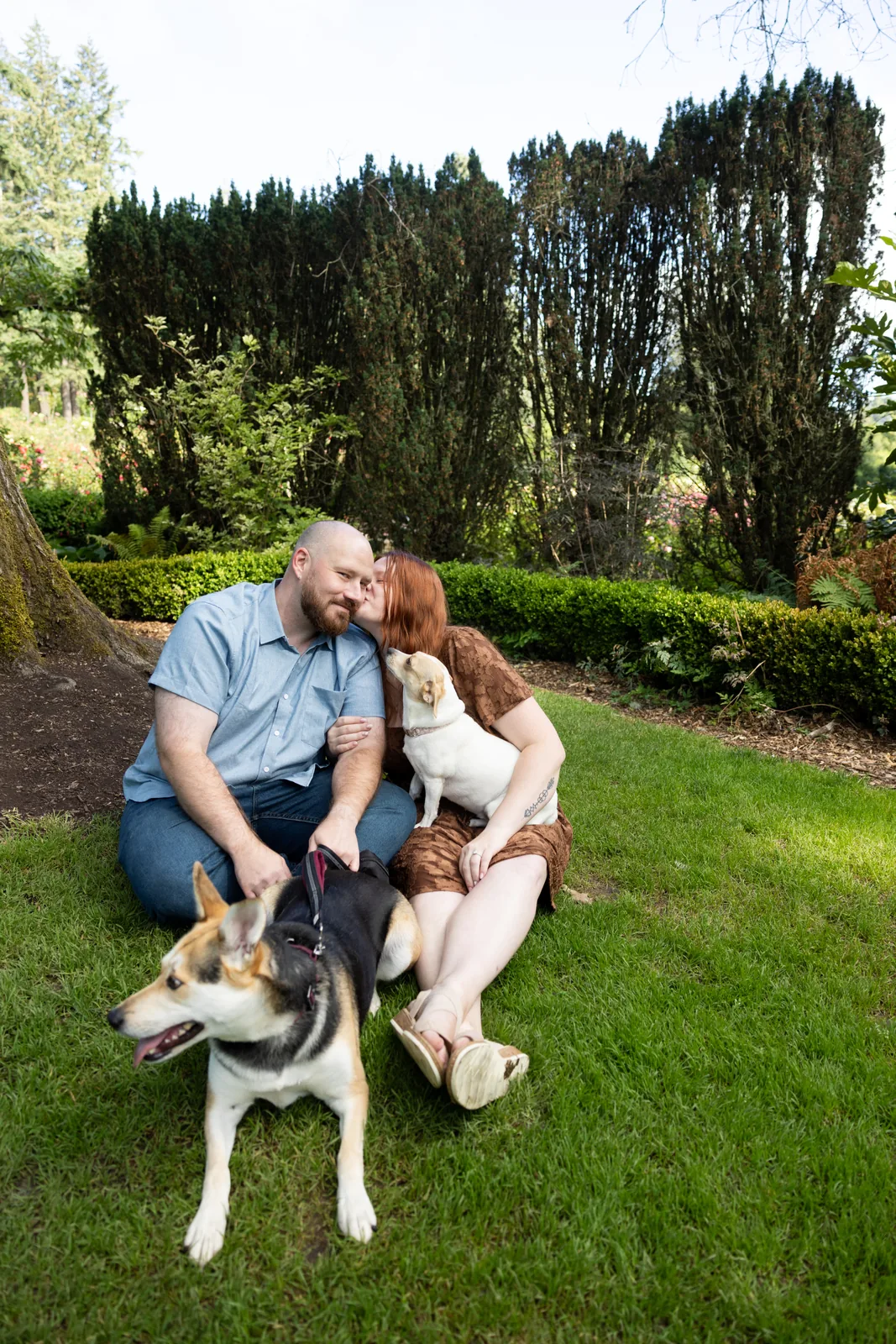 Couple sitting on the grass with their two dogs in a Portland park